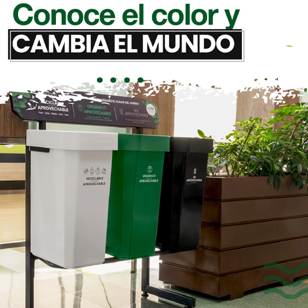 LOS PUNTOS ECOLÓGICOS